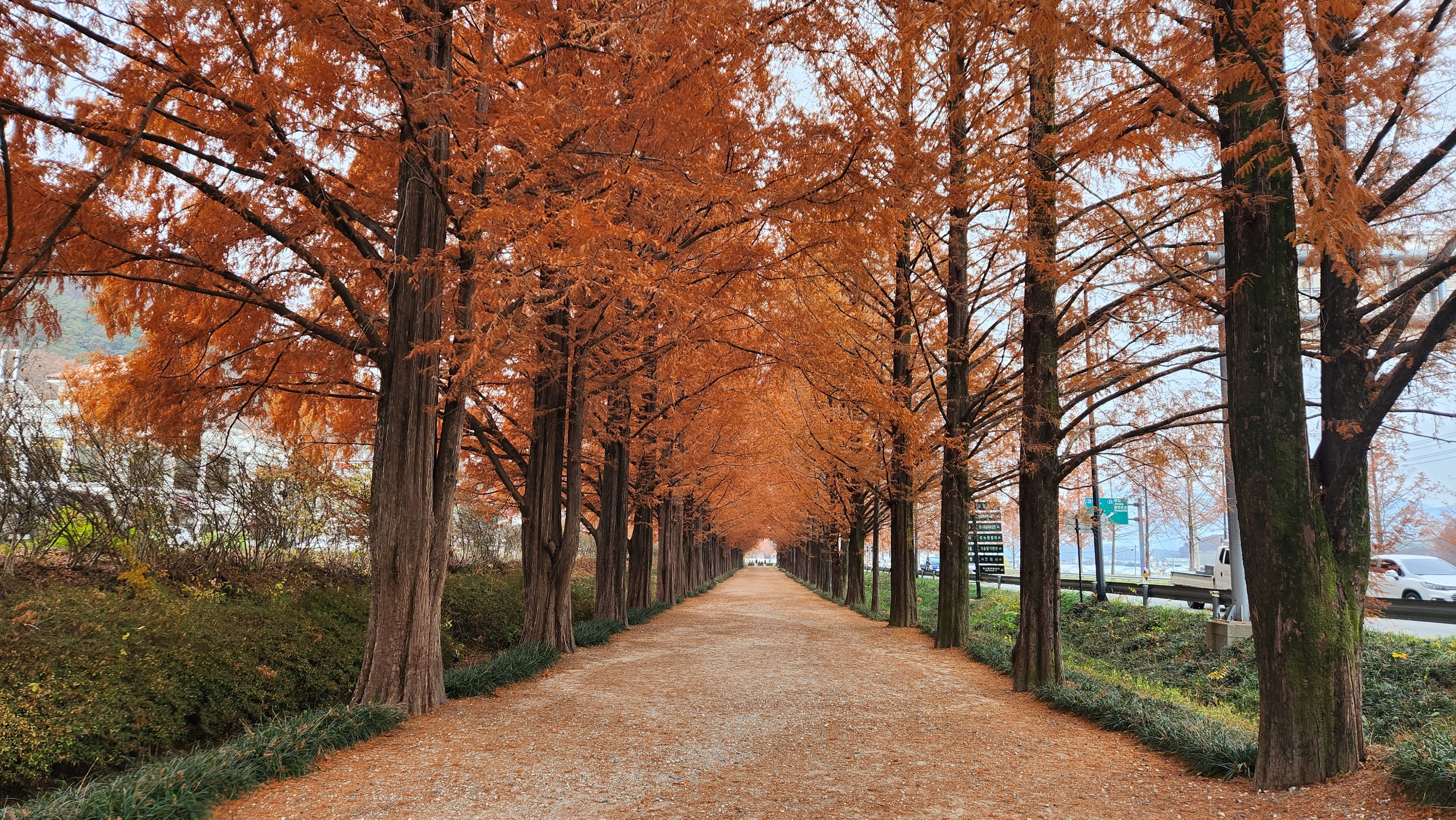 Strategic Public Transit Routes for Peak Autumn Foliage and Cultural Exploration in Korea