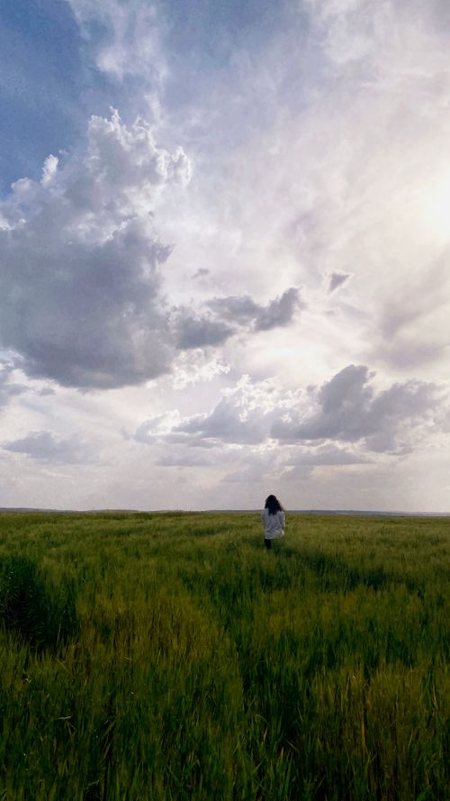 Free A solitary figure in a wheat field beneath a dramatic, cloud-filled sky, embodying tranquility. Stock Photo