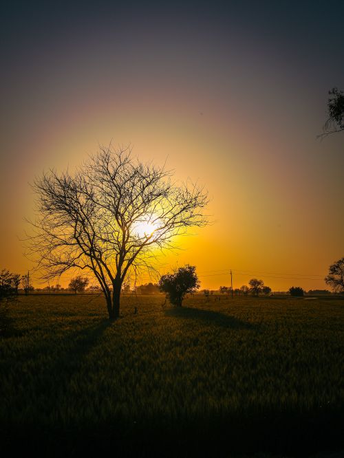 Free Sunset  Stock Photo