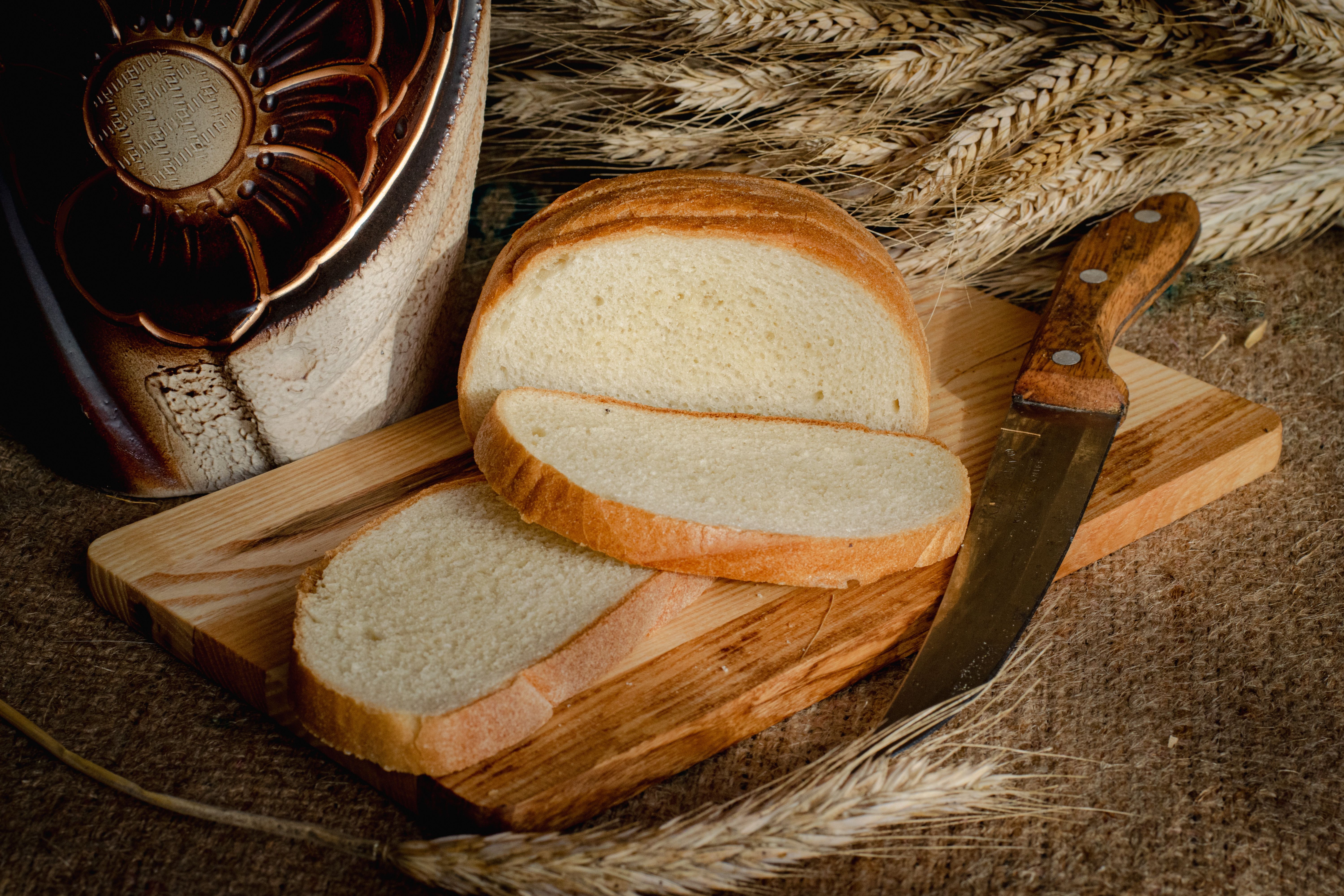 Best Ceramic Bread Knife Under $50 2026 – My Top 3 Picks Under $50