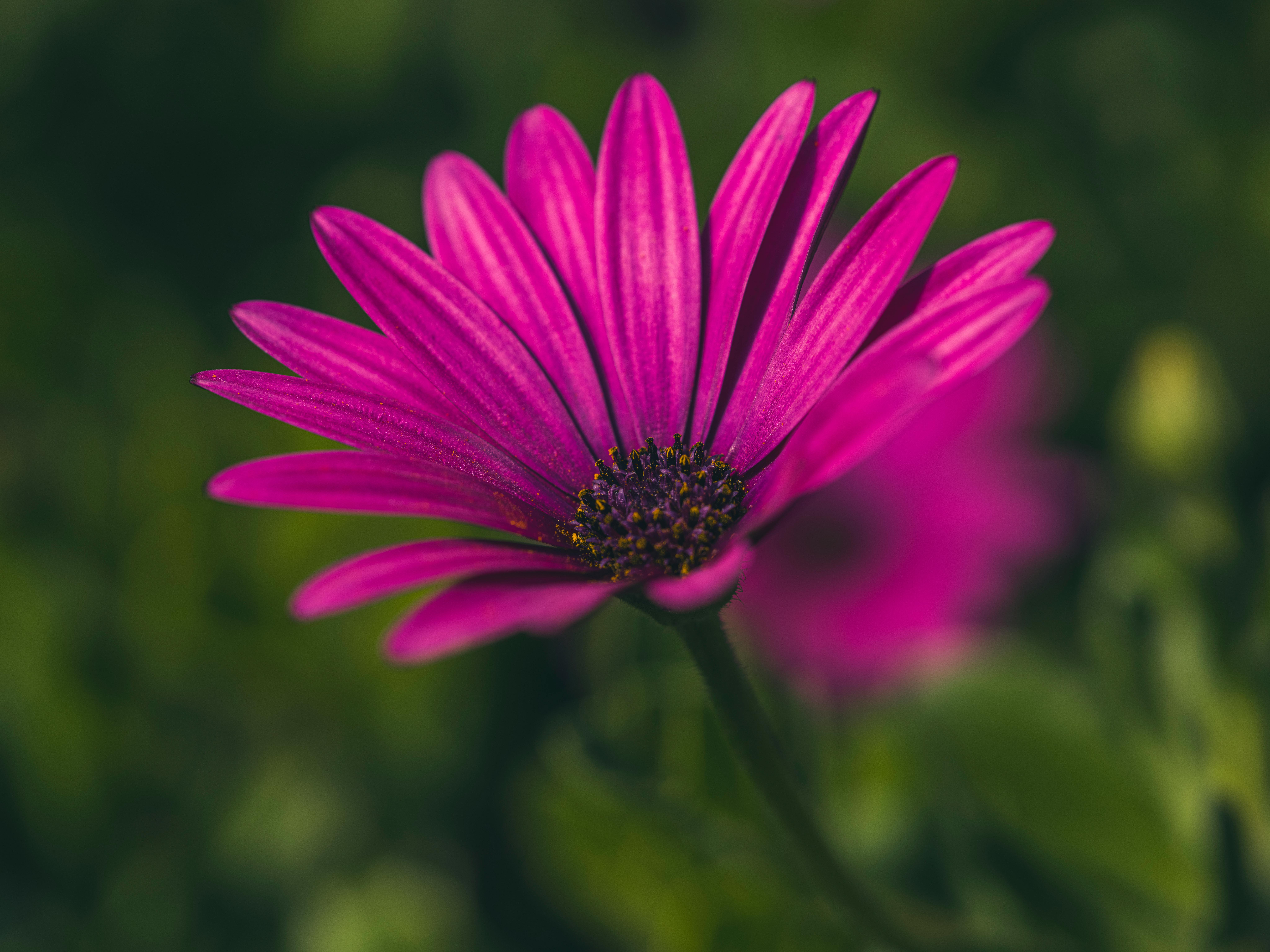 daisy プロフ確認下さい。 359292309_1_Andrea_Denton_BNB_