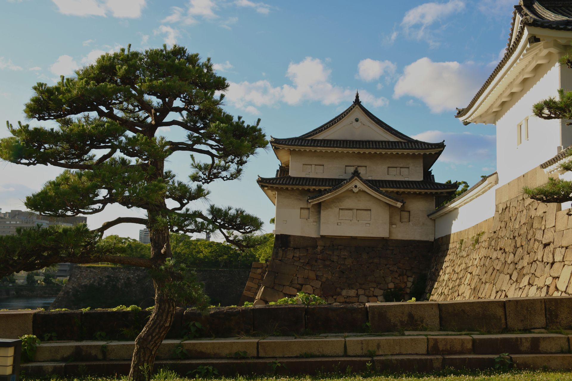 Scenic view of Osaka Castle with traditional architecture and bonsai tree in Osaka, Japan.