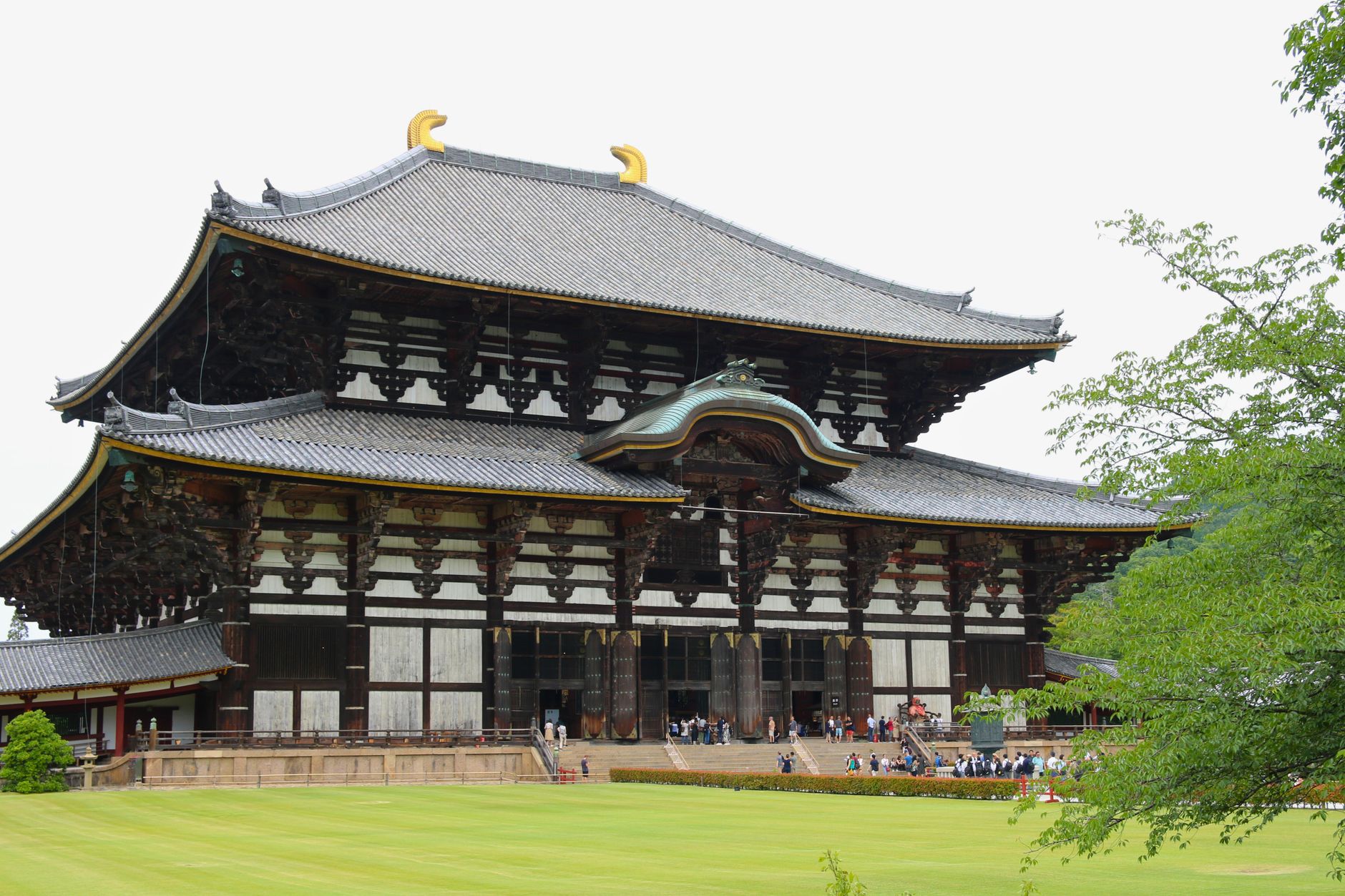 Nara: Japan's First Capital and Spiritual Foundation