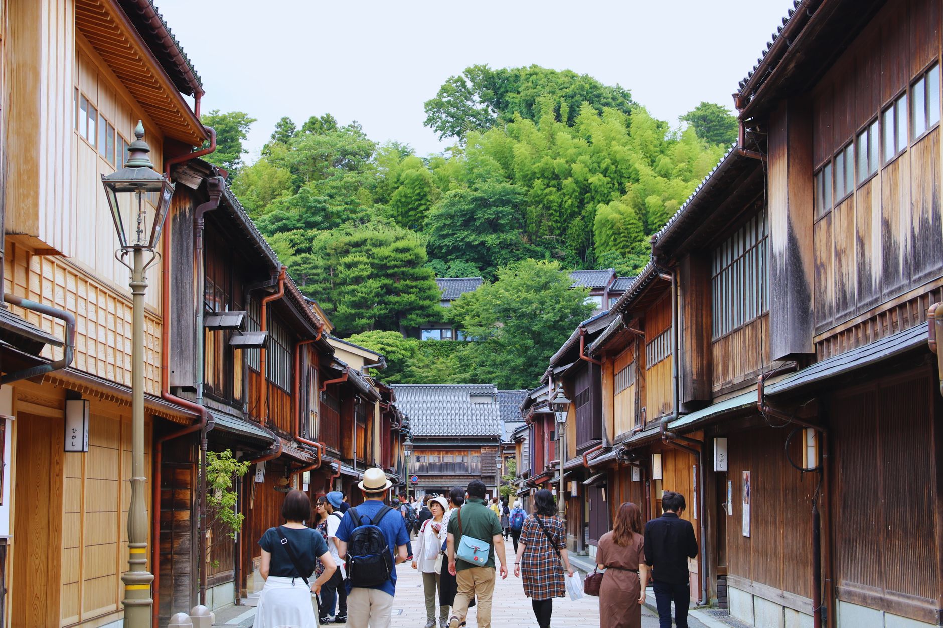 Kakunodate Cherry Blossoms Traditional samurai houses lining a street in Kakunodate, with weeping cherry trees in full bloom.