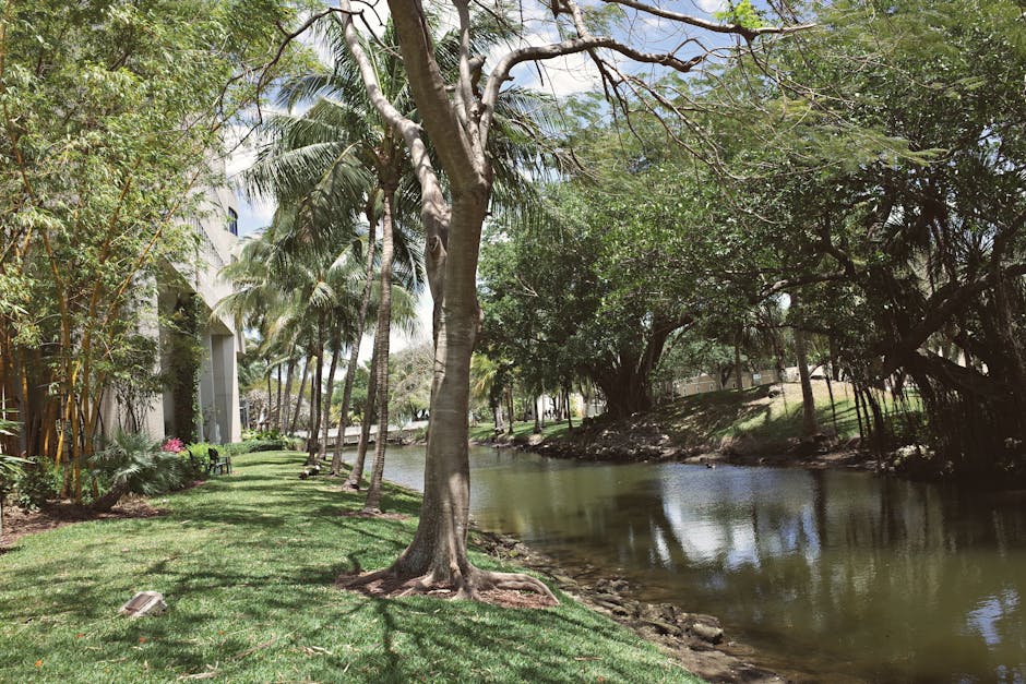 Lush green university campus by a river in Coral Gables, Florida, USA.