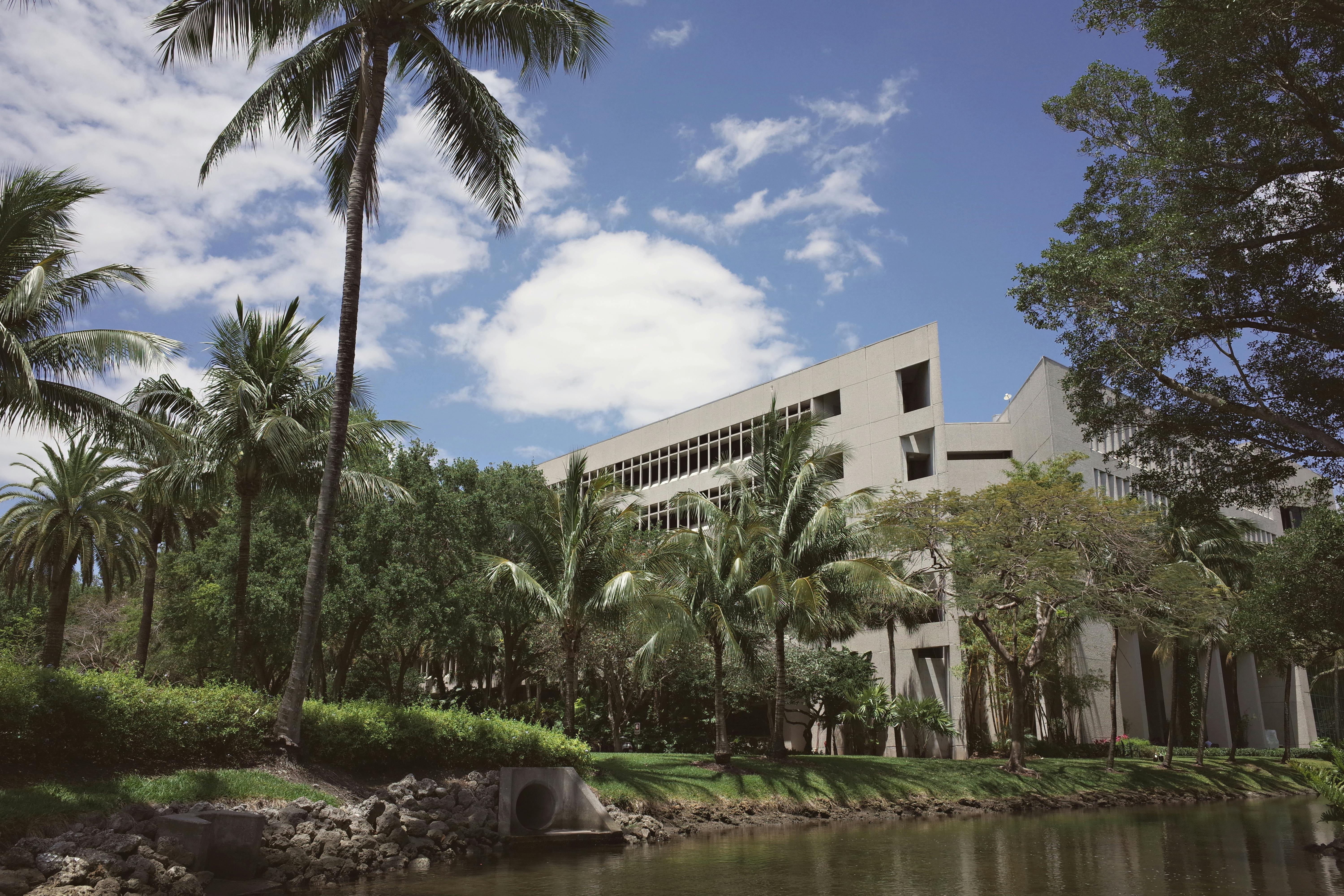 Estudiar en Australia: Guia Completa para Latinos July 2020