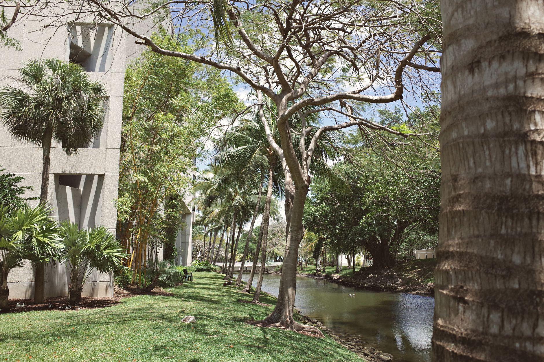 Miami real estate lifestyle