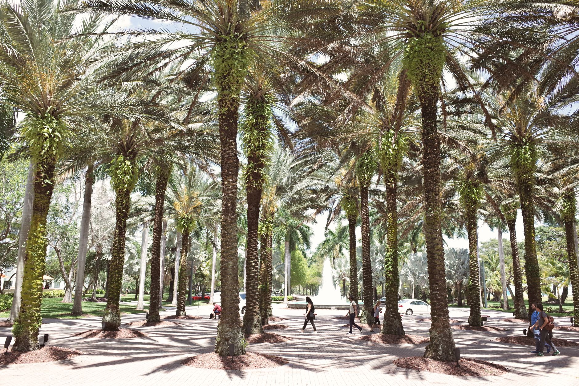Is Wildwood, FL Worth Moving To? An Honest Assessment