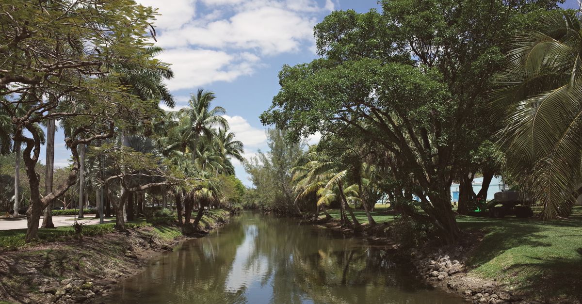 A peaceful tropical canal surrounded by lush greenery in Coral Gables, Florida.