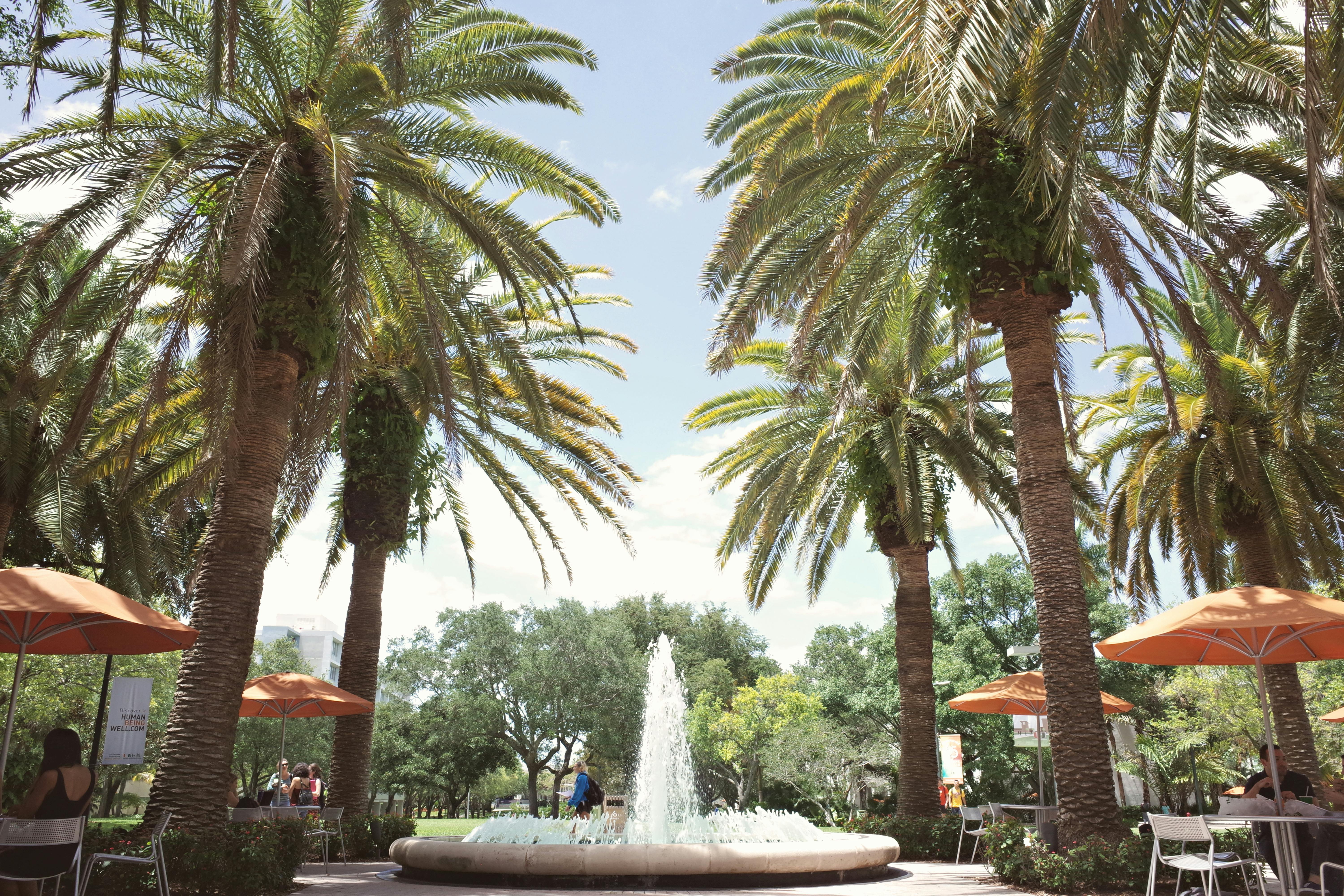 Estudiar en Suecia: Guia Completa para Latinos July 2020