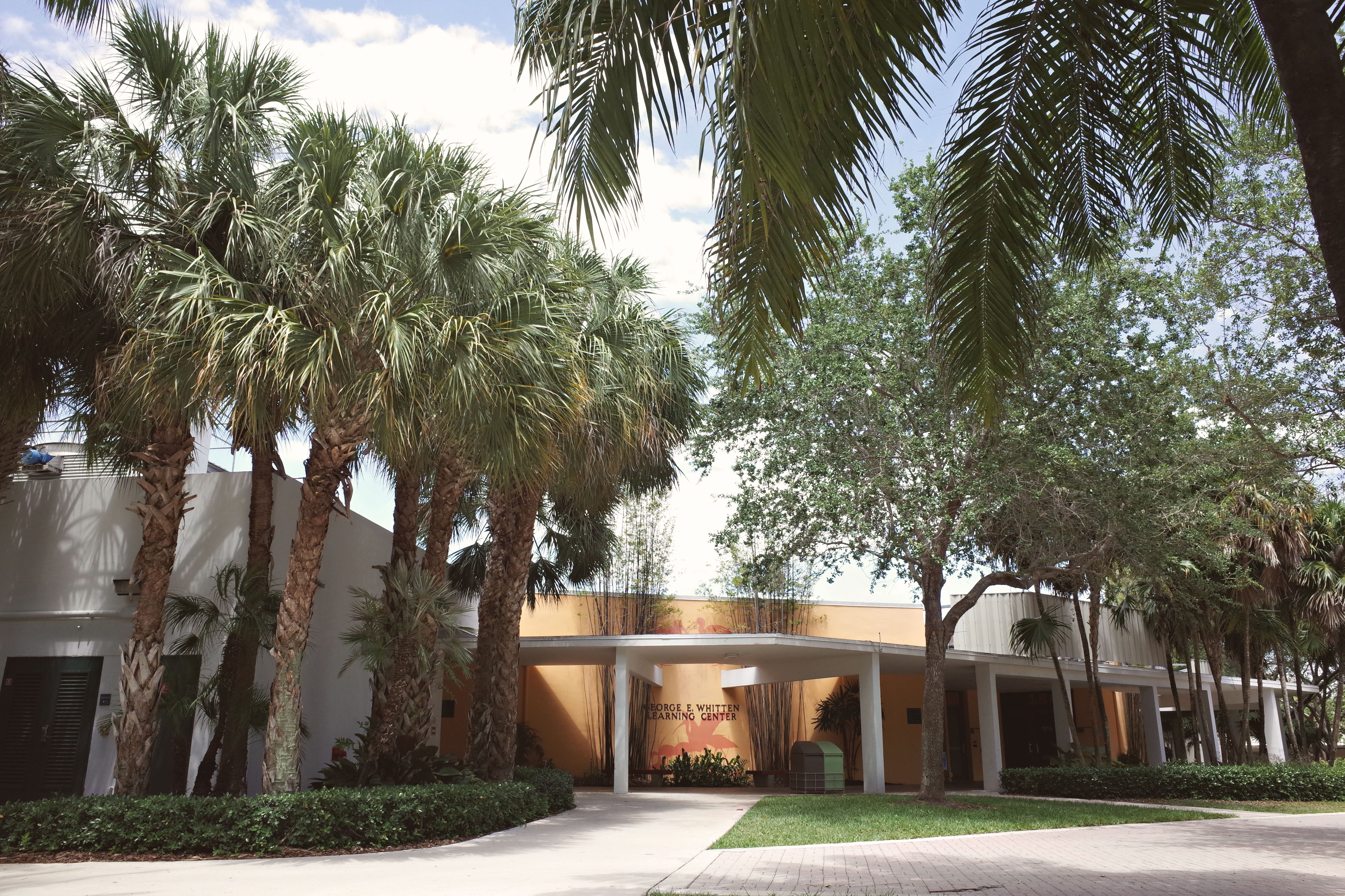 Serene view of the University of Miami campus entrance, Coral Gables, FL, surrounded by lush palm trees.