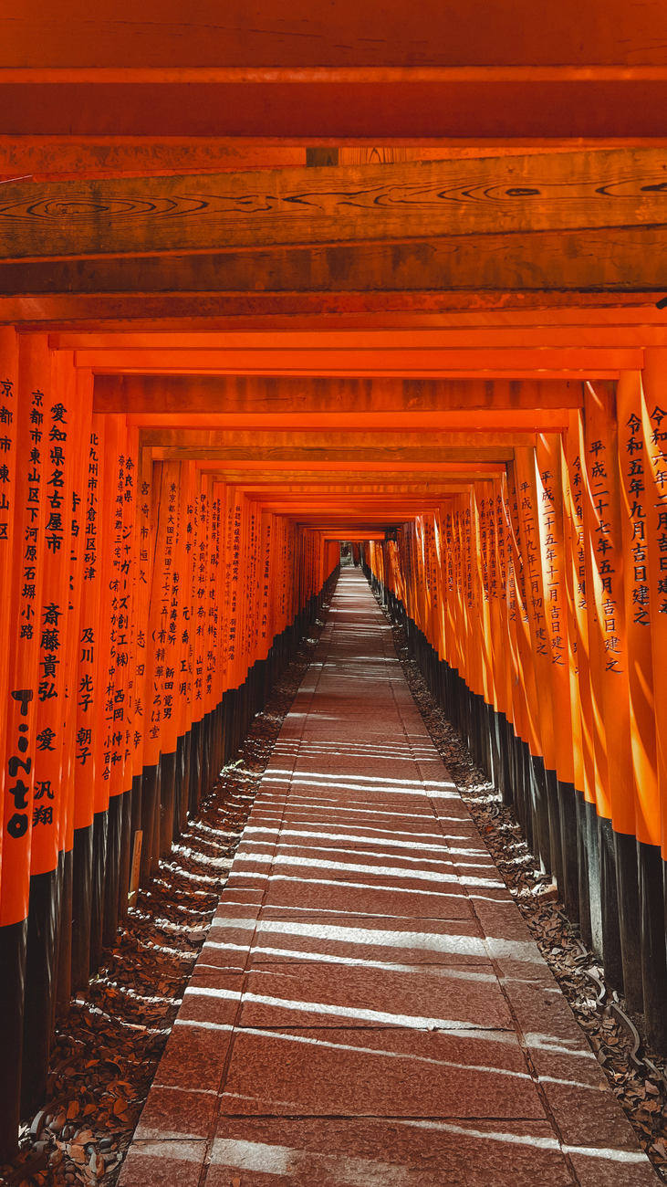 Thaïlande, Japon et Australie : des destinations qui divisent les générations