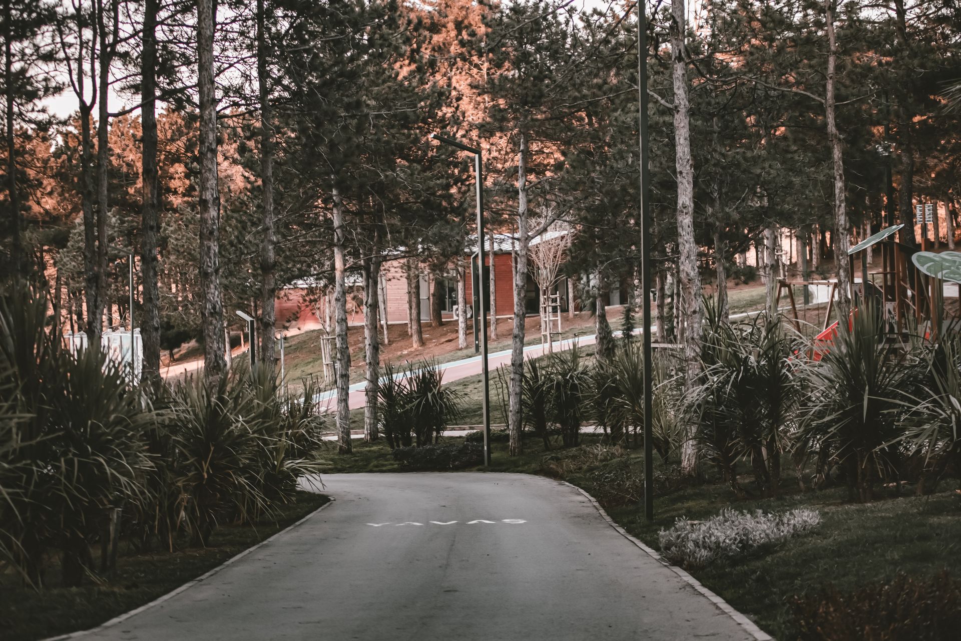 A tranquil forest pathway winding through lush trees and greenery under a warm sunset.
