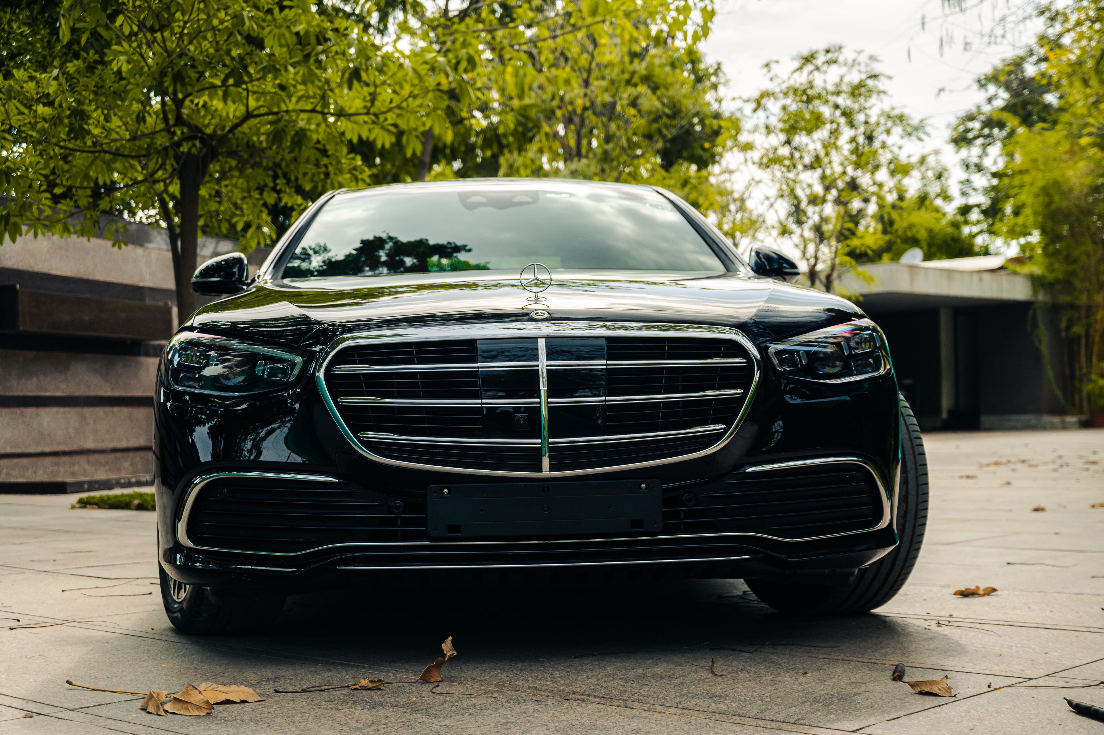 Travelling with Pets in a Chauffeur Car