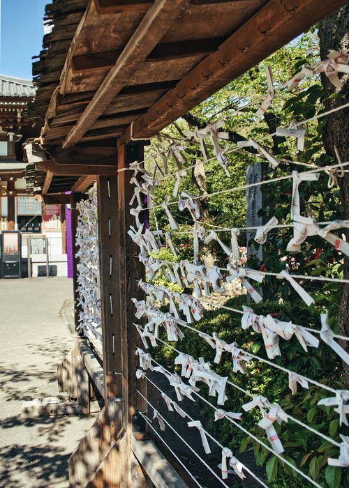 Free Omikuji fortune papers tied on strings at Zojoji Temple in Tokyo, Japan during daylight. Stock Photo