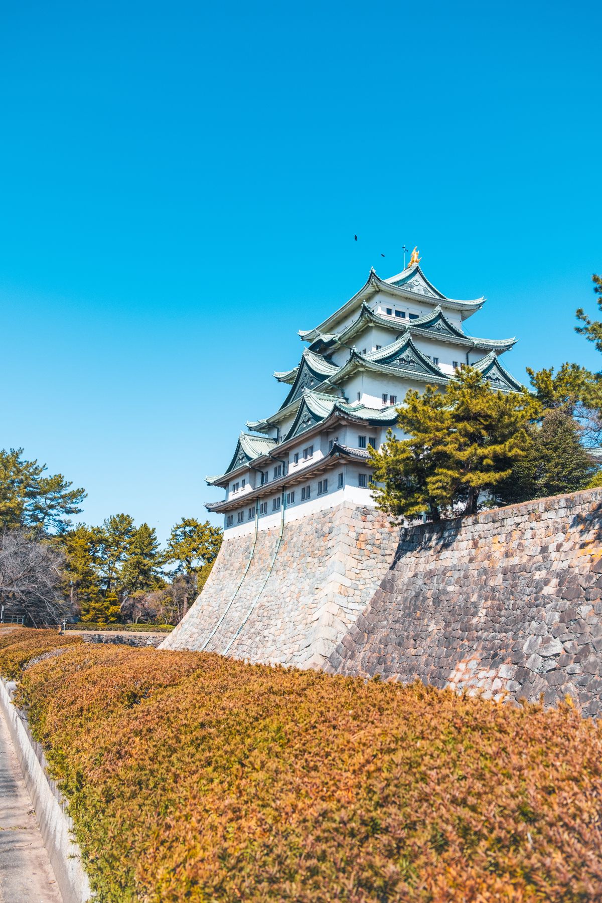 Nagoya Castle main keep with golden roof ornaments against a clear blue sky