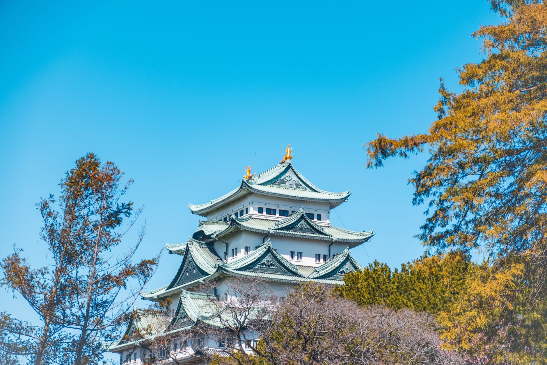Popular sights in Nagoya Landmarks in Nagoya