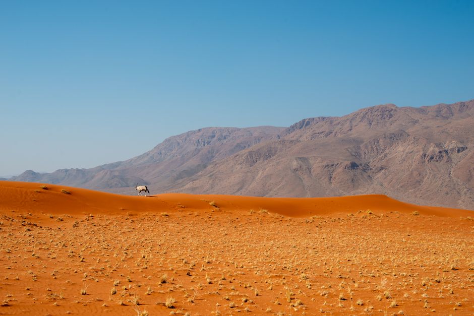 Safari nocturne à Sossusvlei
