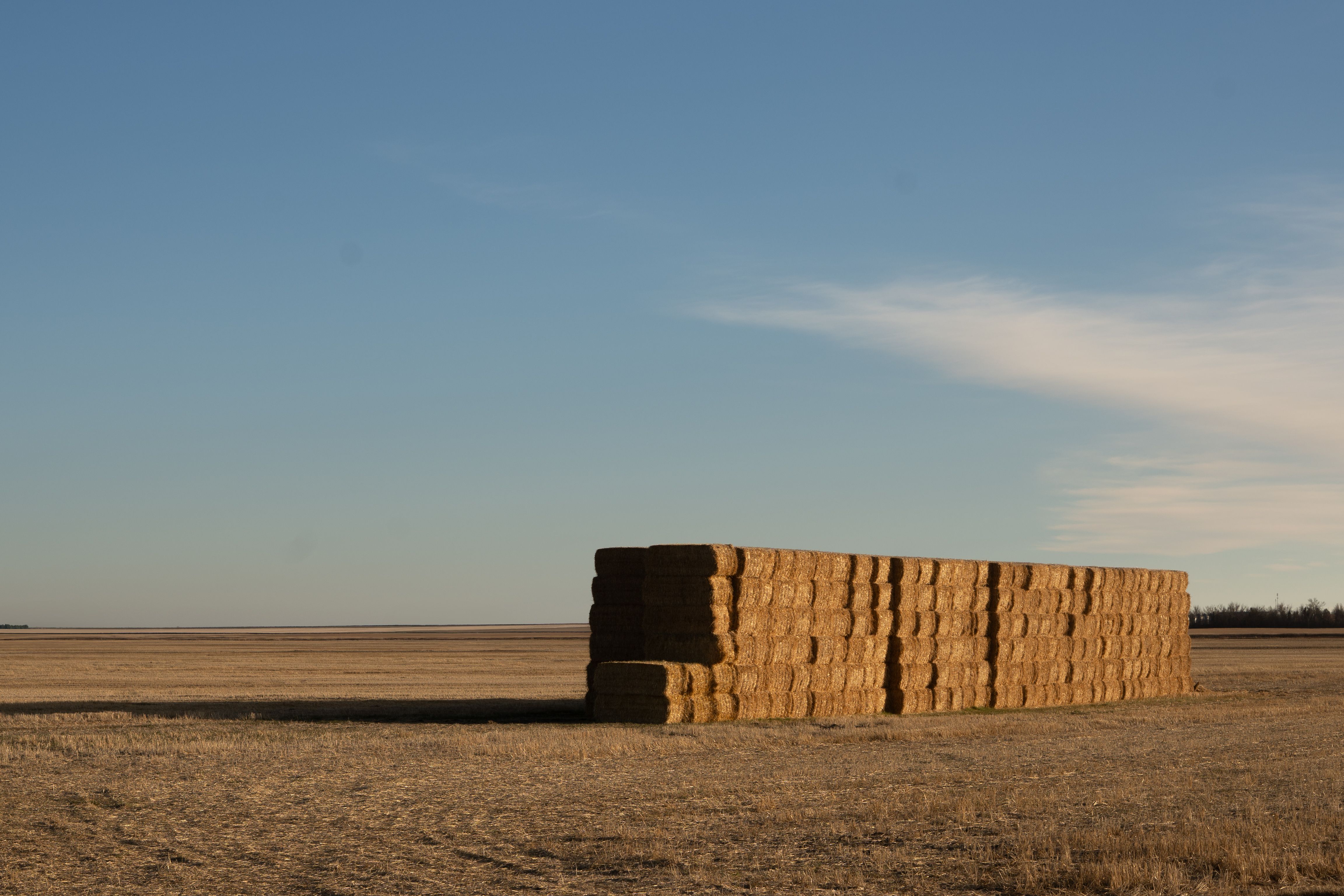 storage-bales-photos-download-the-best-free-storage-bales-stock-photos