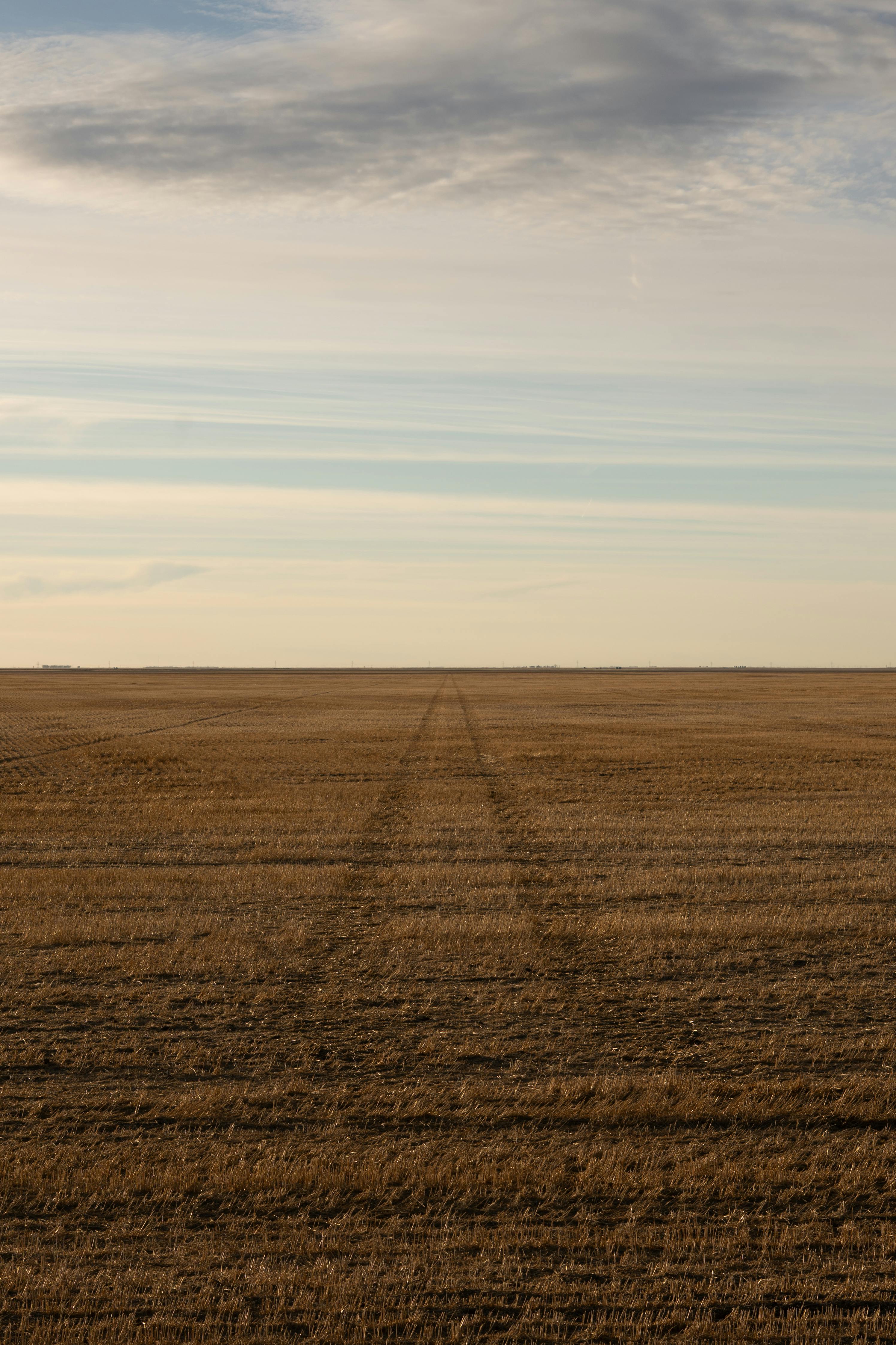 Wide open plowed field with golden soil and soft sky, perfect for agriculture themes.