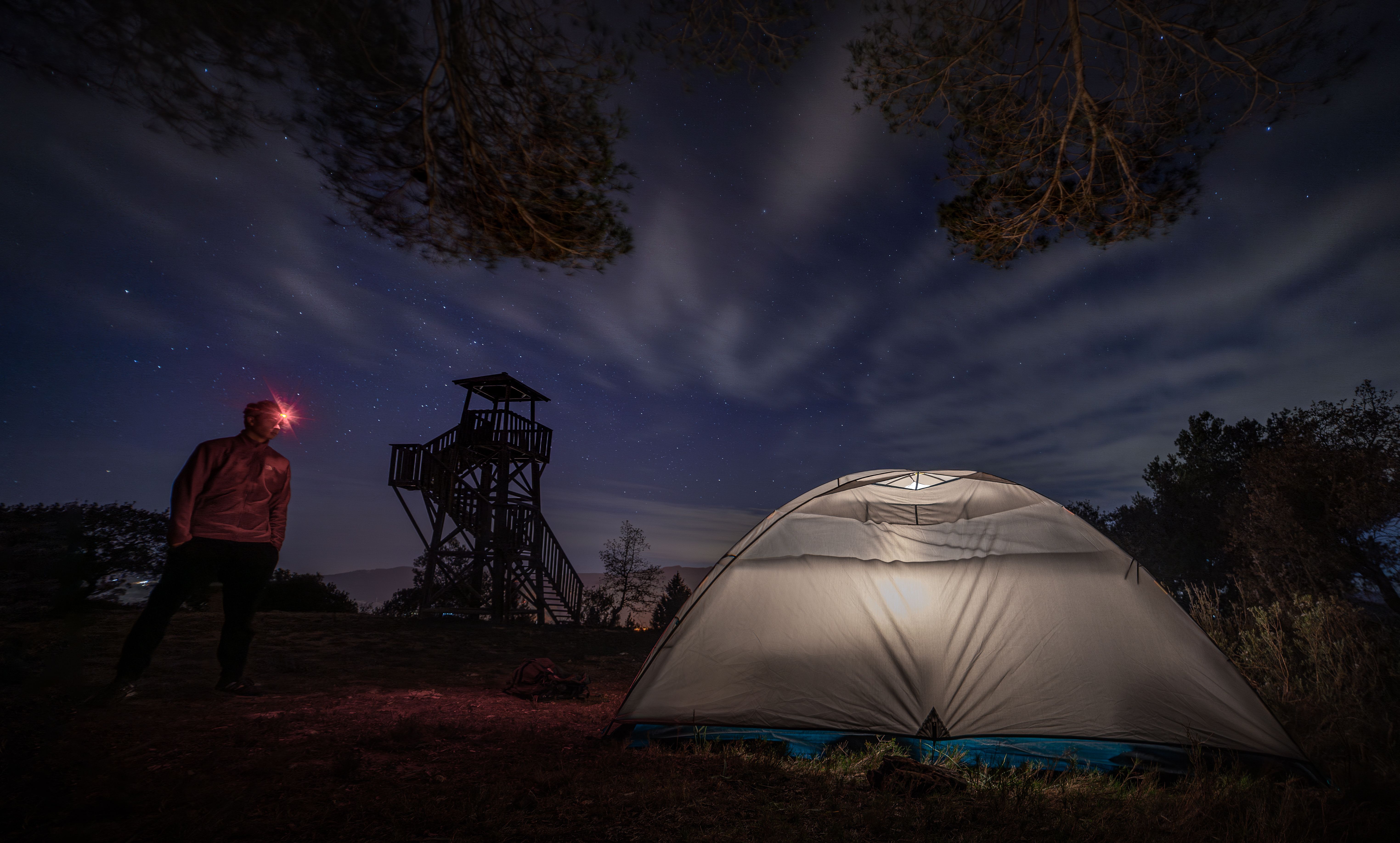 Les meilleures pratiques pour observer la faune nocturne en Cévennes 