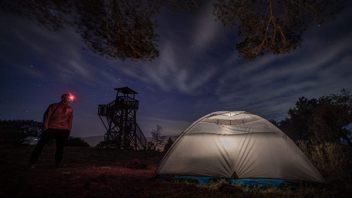 Les meilleures pratiques pour observer la faune nocturne en Cévennes