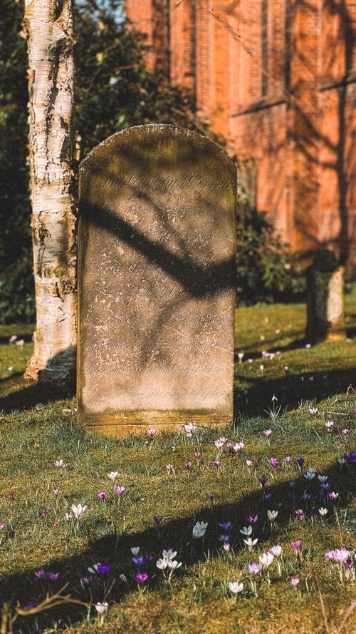 Free Ancient tombstone amidst blooming flowers in a serene cemetery setting. Stock Photo