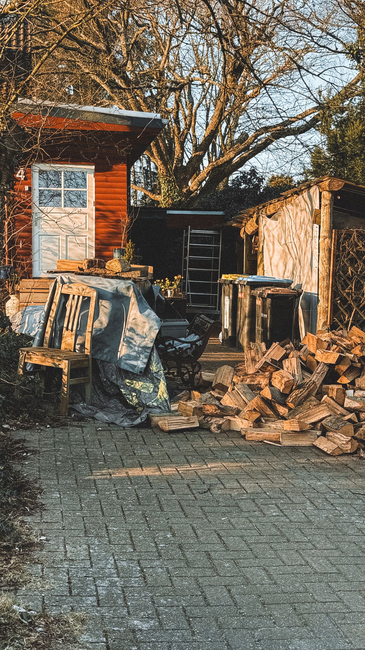 Cozy backyard with stacked firewood and a small shed in autumn