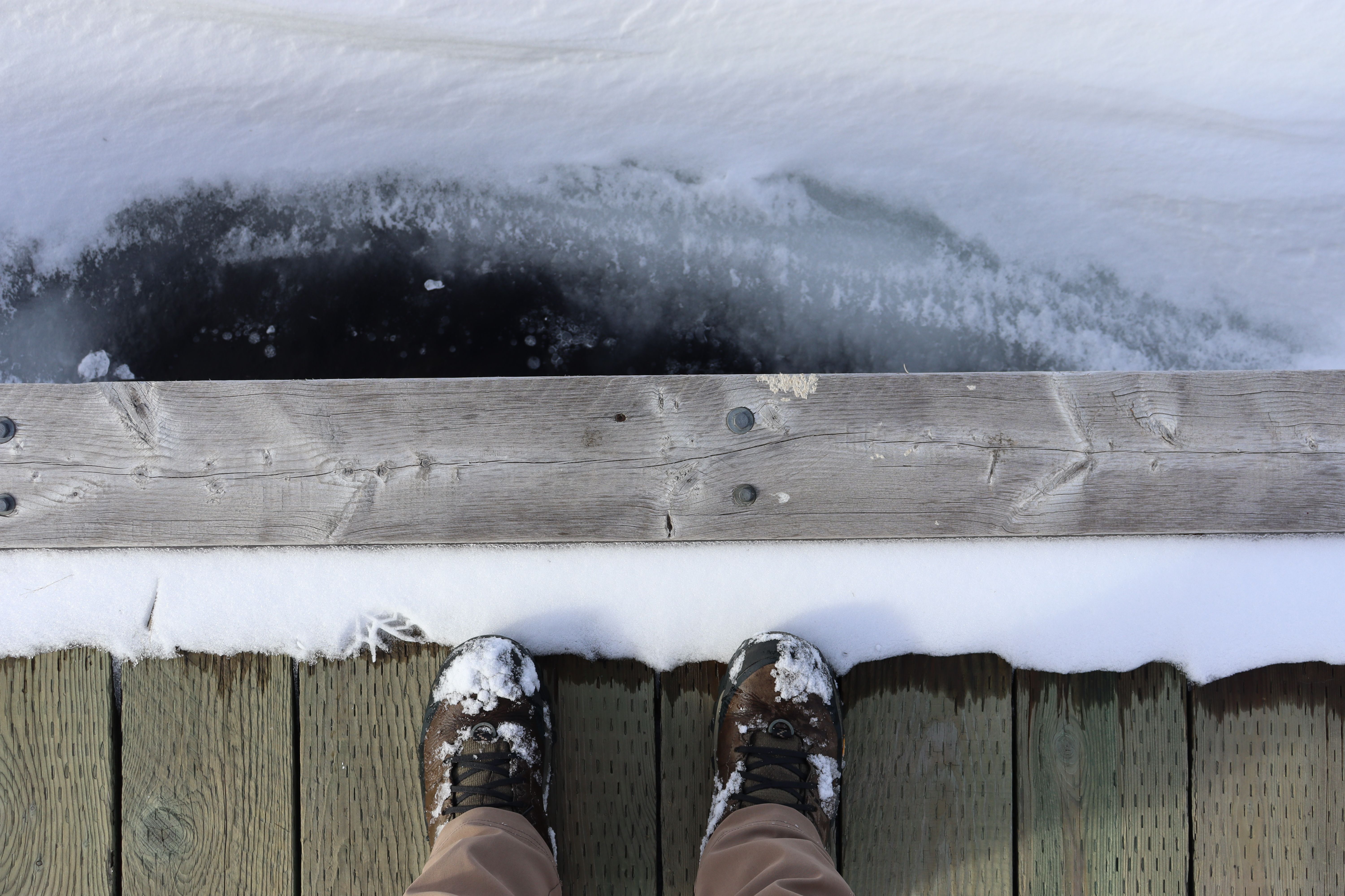 Fence and Decking Painting in White City — careful masking before painting begins