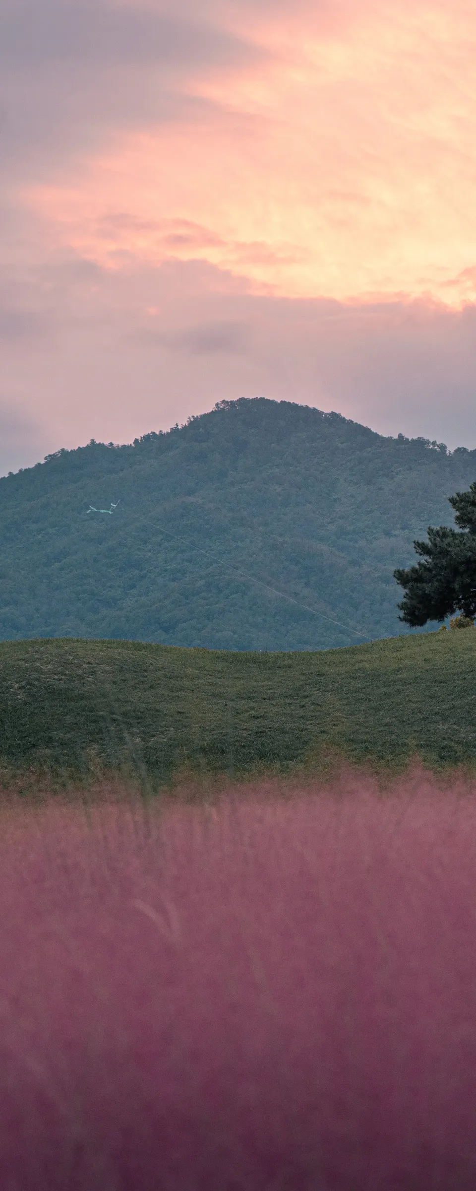 Gyeongju Ancient Capital Secrets: Private Van Tour with Lunch and Night Views