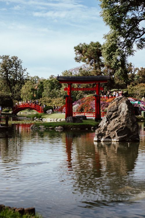 Free Peaceful Japanese garden featuring traditional torii gate and lush greenery in Buenos Aires. Stock Photo