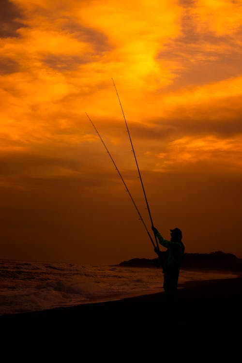 Foto profissional grátis de água, areia, céu rosa