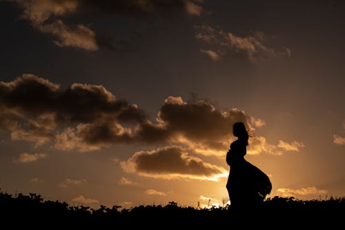 Silhouette Photography Of Woman