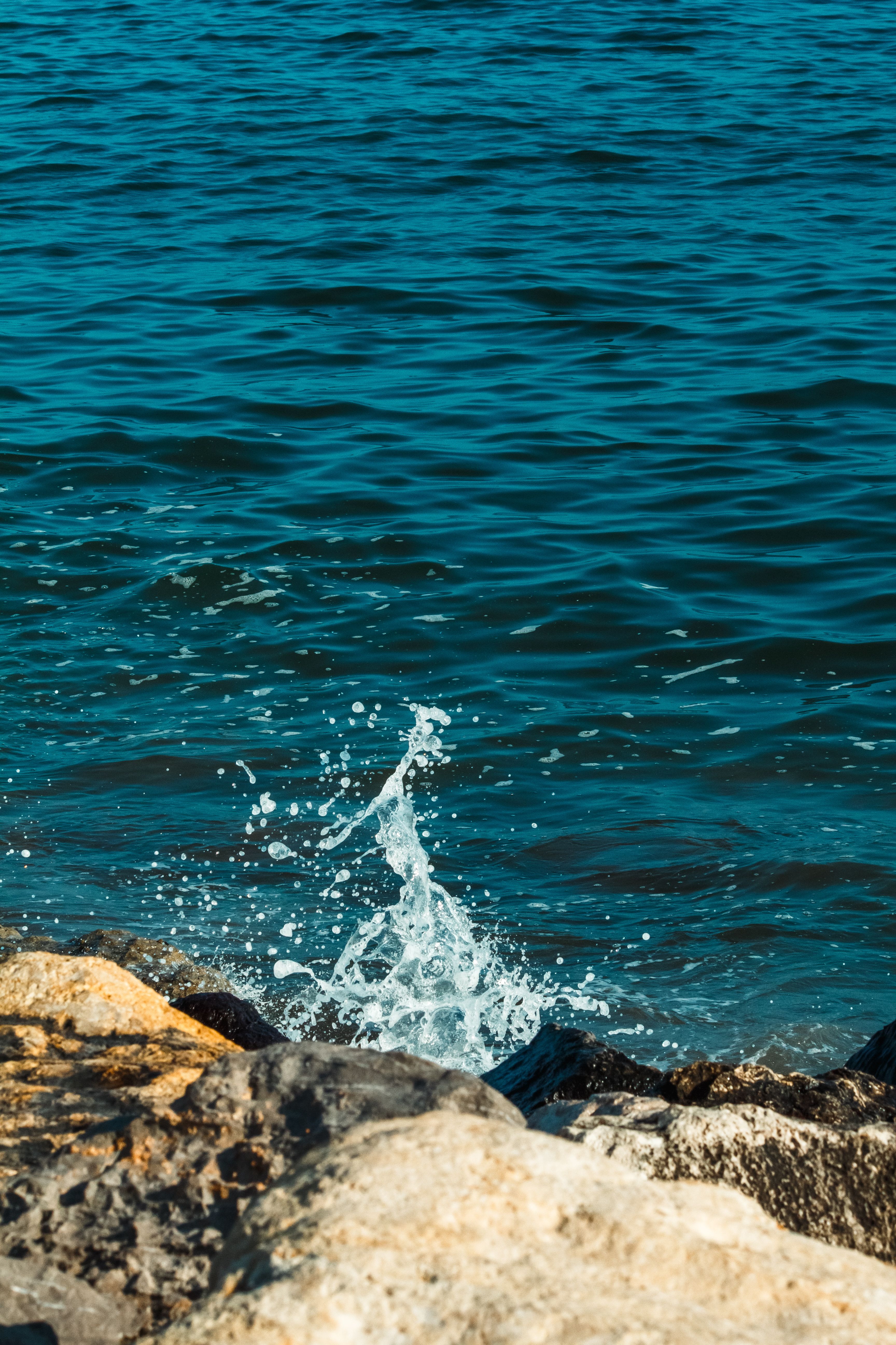 Dynamic Ocean Wave Splash on Rocky Shore · Free Stock Photo