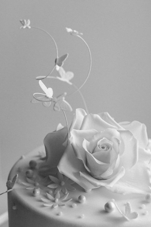 Free Close-up of a beautifully decorated white cake featuring a rose and butterflies. Stock Photo