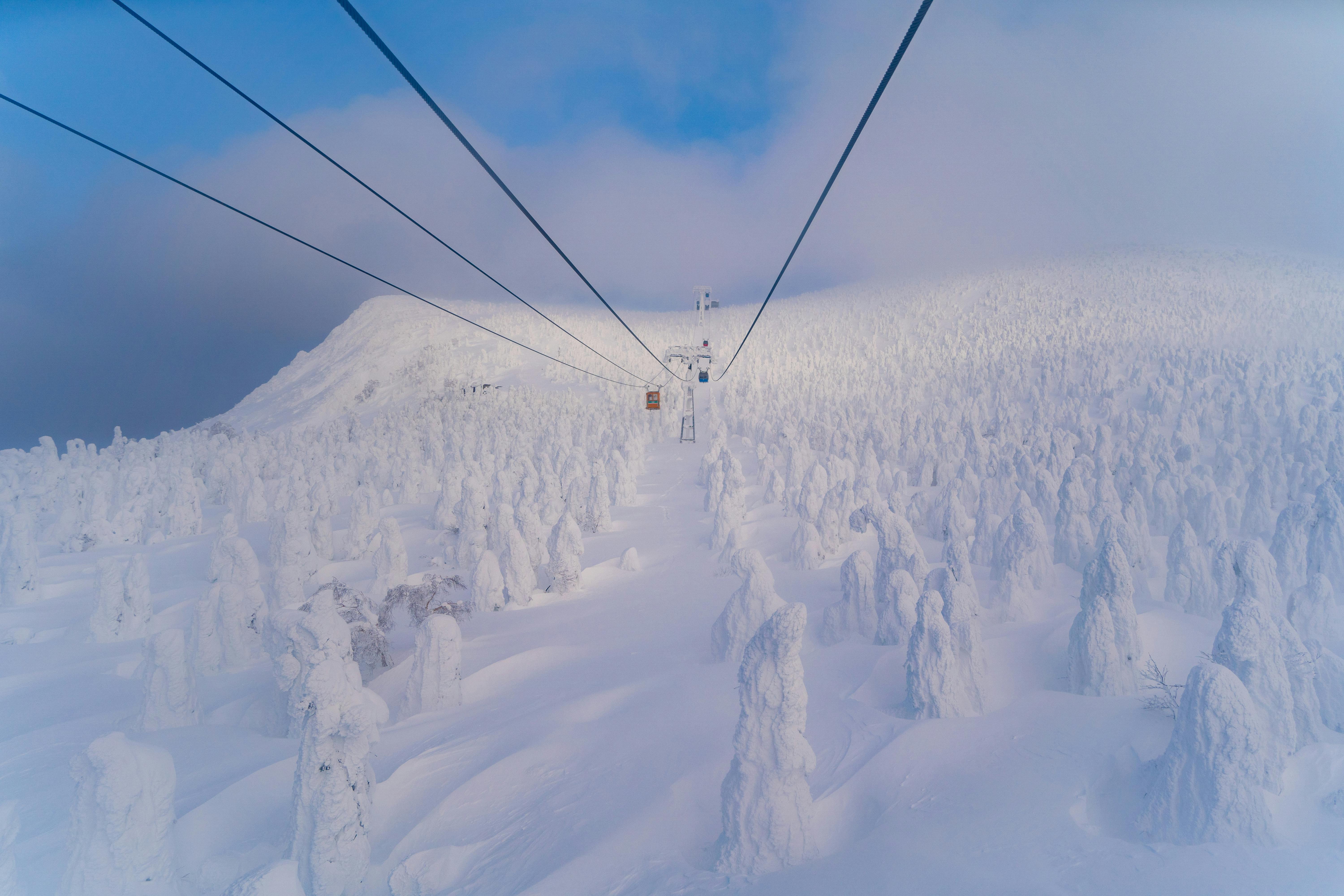 A breathtaking view of snow-covered trees on a winter day, featuring a cable car against a blue sky.