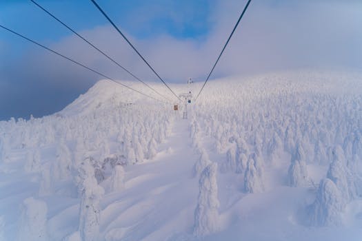 A breathtaking view of snow-covered trees on a winter day, featuring a cable car against a blue sky.