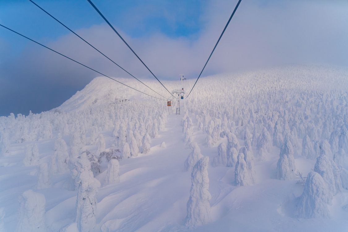 Snow-covered trees creating a winter wonderland at Zao Onsen in Yamagata, Japan