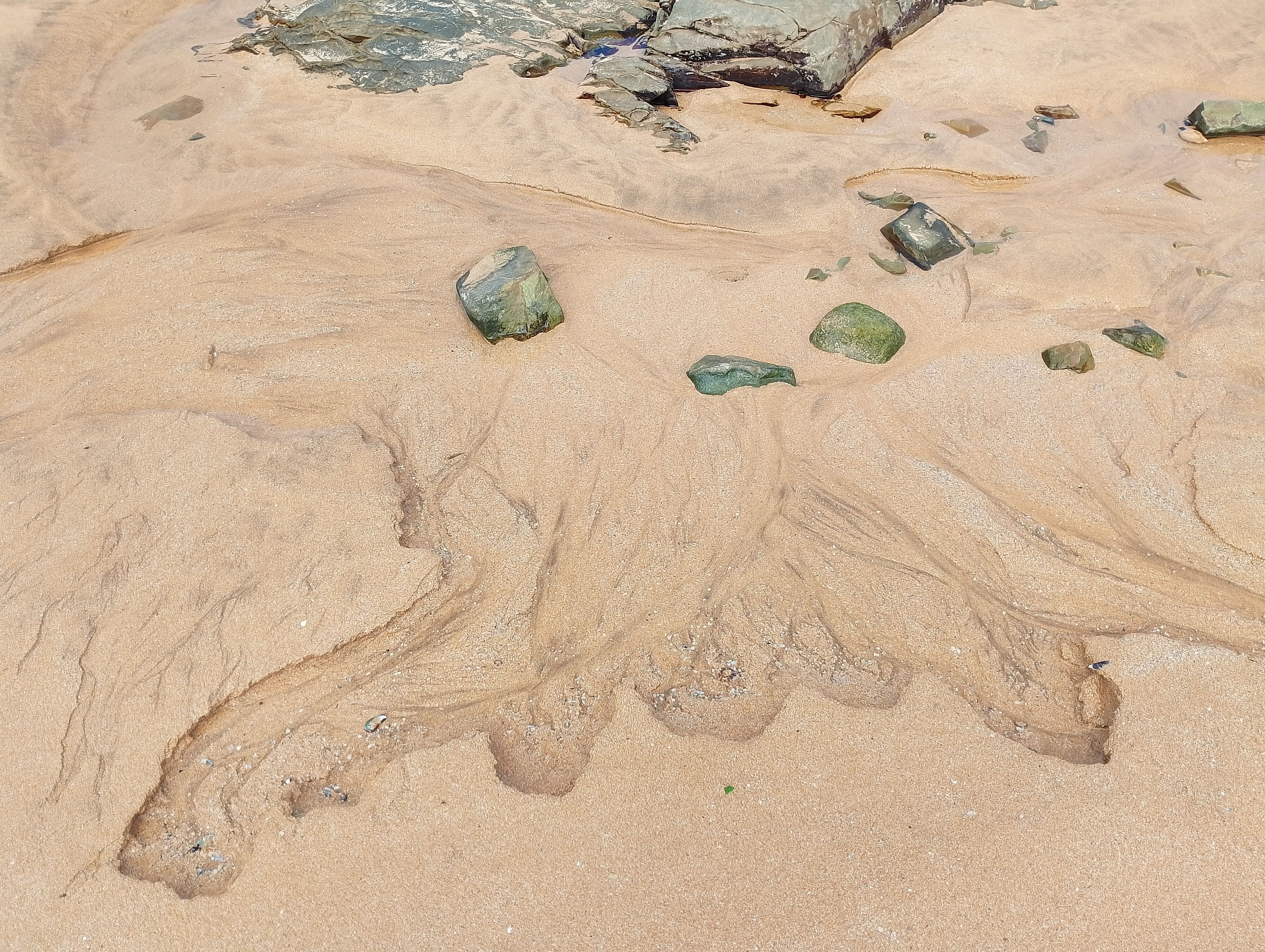 Vias-Plage : guide de la station voisine de Portiragnes