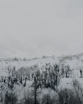 A peaceful winter scene of a snow-covered forest on a hillside.