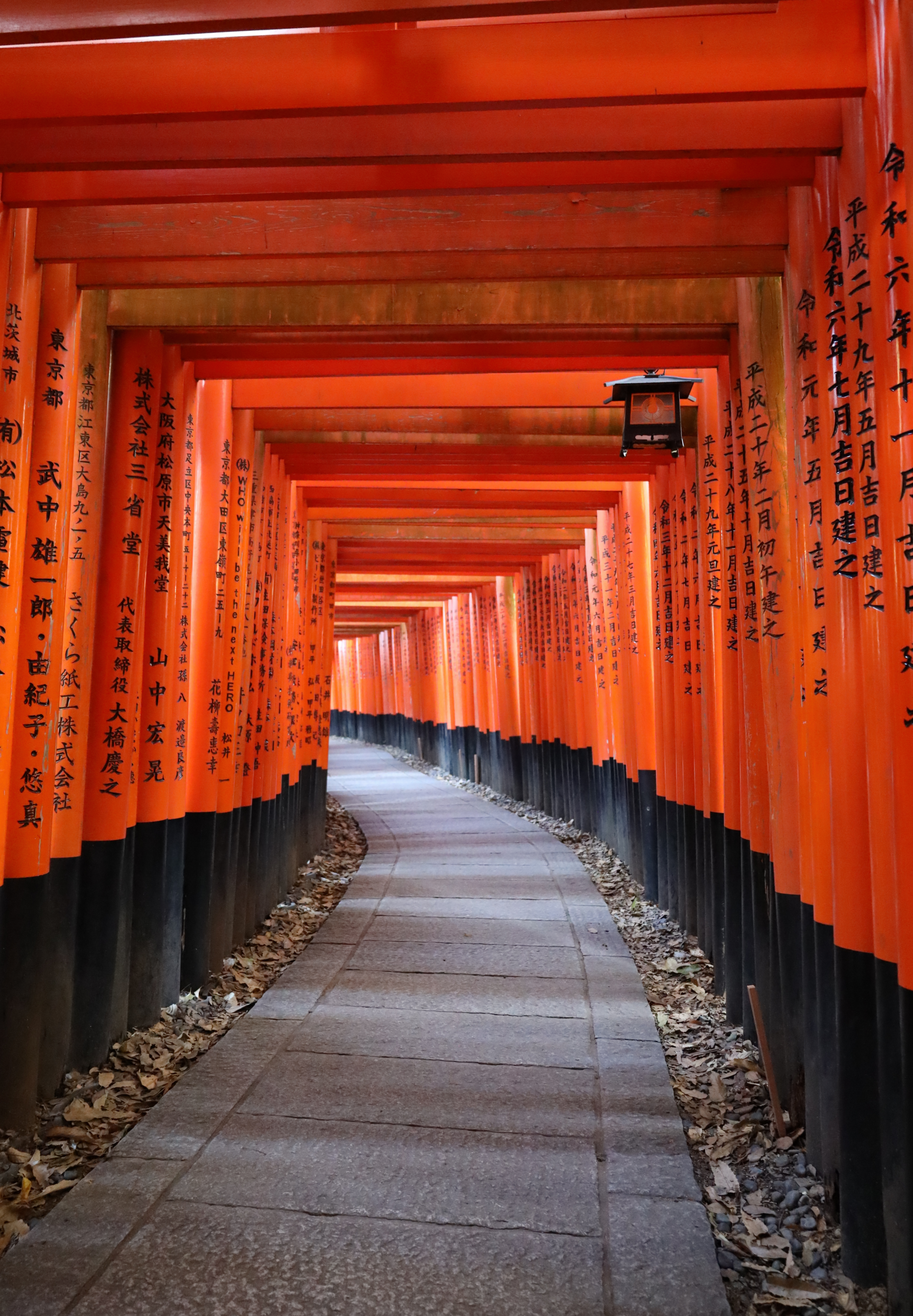 Fushimi Inari Taisha Torii Gate Pathway in Kyoto, Japan · Free Stock Photo
