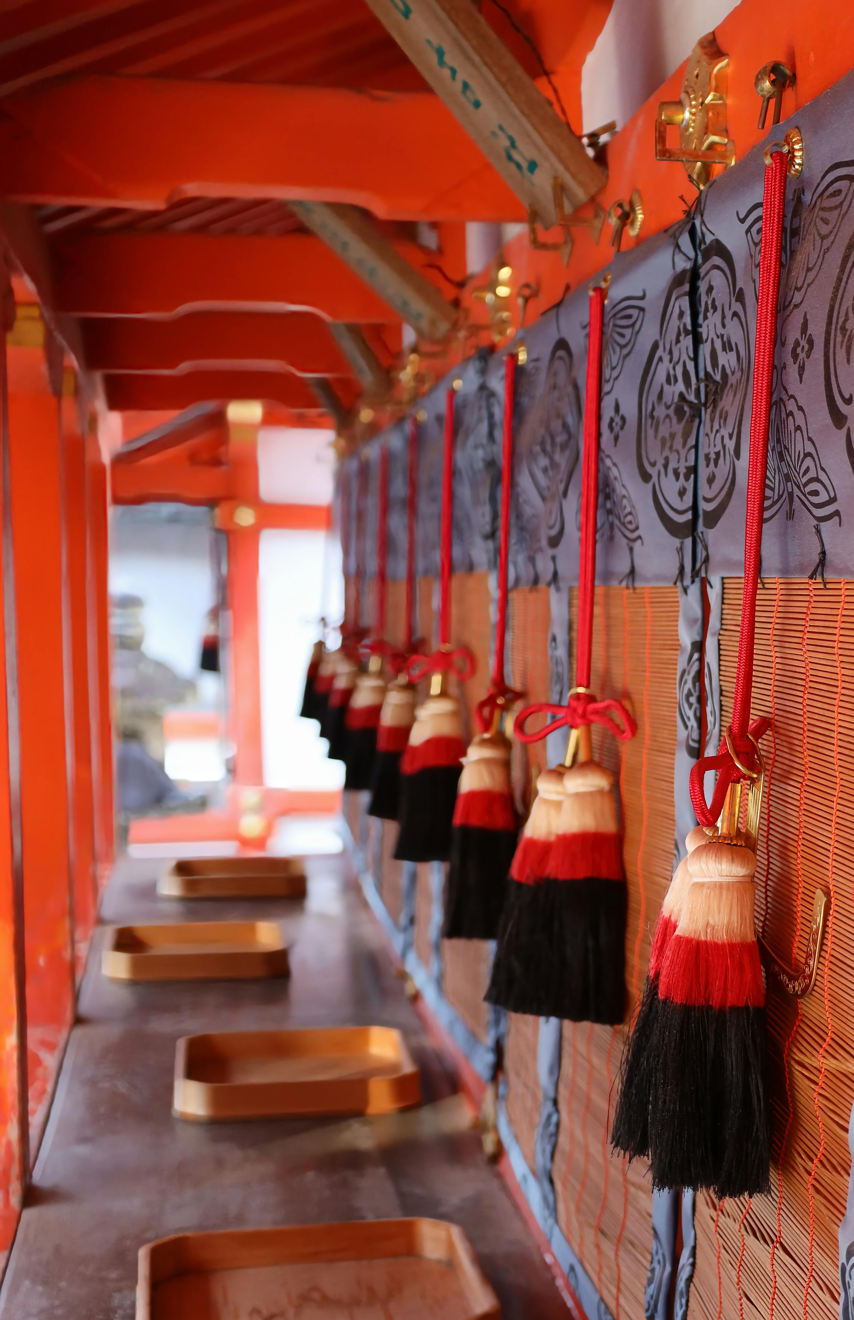 Black Asian Photos, Download The BEST Free Black Asian Stock Photos