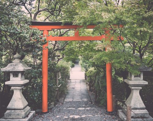 Free A peaceful Japanese garden with a traditional red Torii gate and stone lanterns. Stock Photo