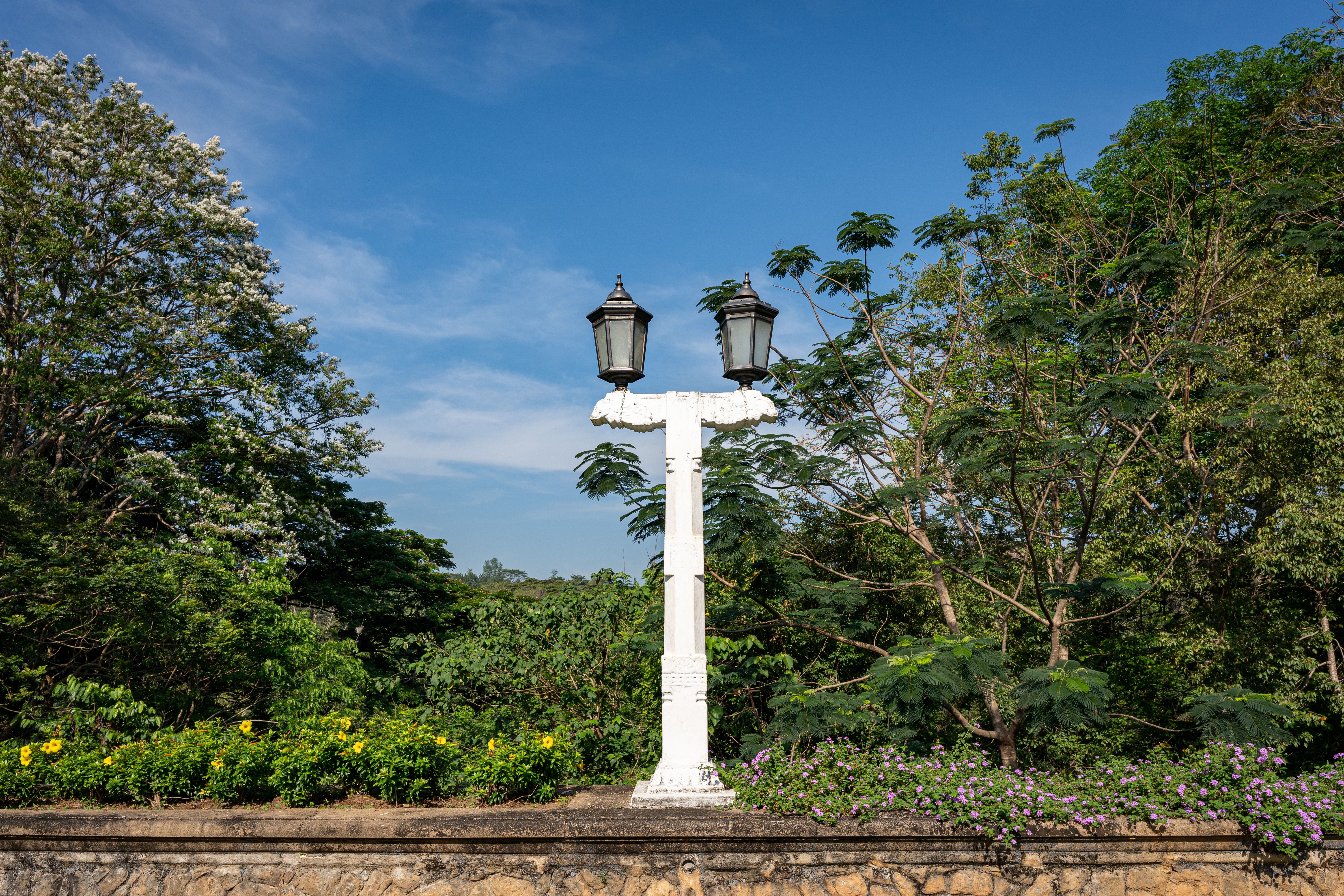 Best time to visit Kandy: Weather, festivals & crowds