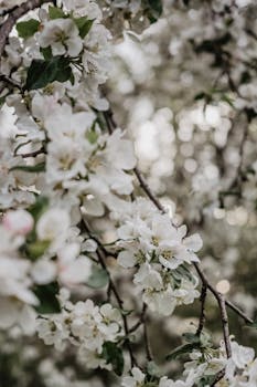 Image by Nadin Romanova