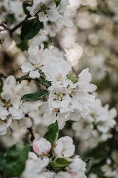 Image by Nadin Romanova