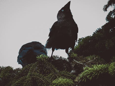 Image by rümeysa yalçın