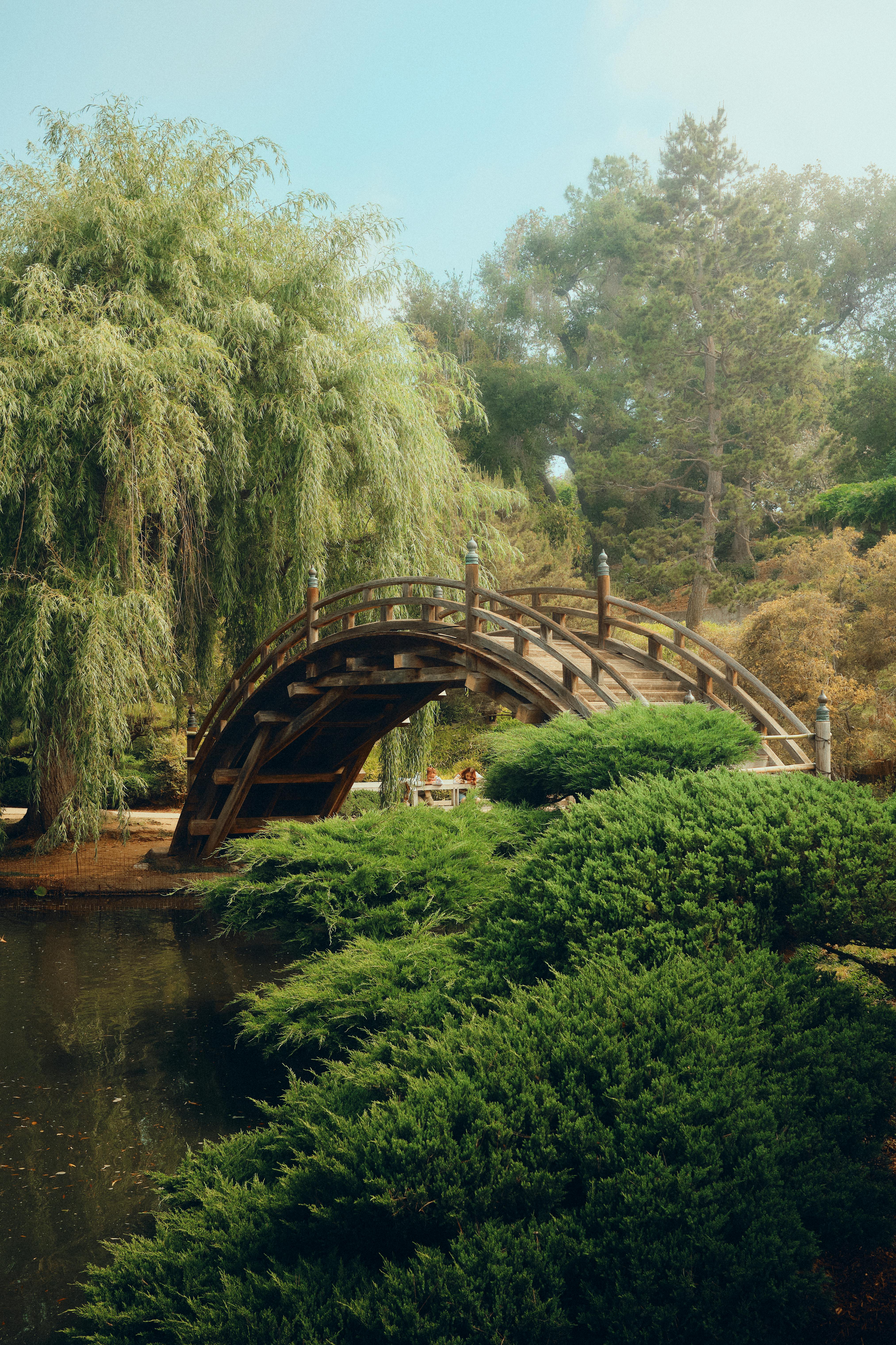 Tranquil view of a wooden arched bridge in a lush Japanese garden setting.