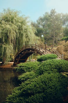 Tranquil view of a wooden arched bridge in a lush Japanese garden setting.