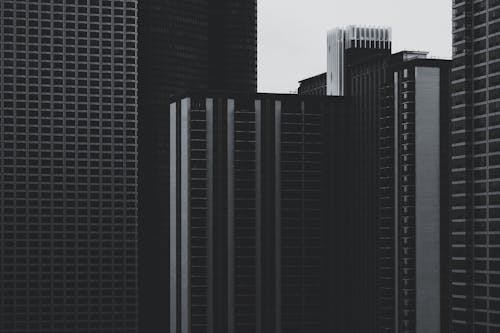 고층 건물의 회색조 사진